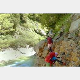 道なき道を行く（Ｃ）日刊ゲンダイ