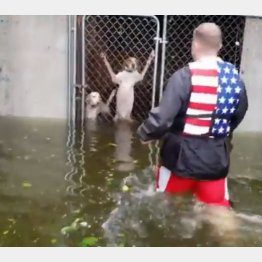 （マーカス・ディパオラさんのツイッターから）