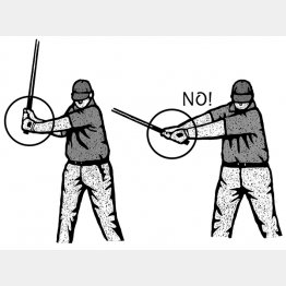 イラスト・ドラゴン２