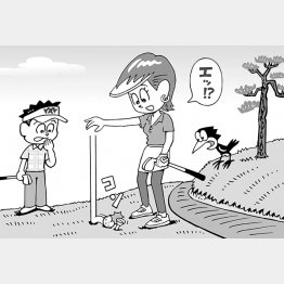 （イラスト・小山混）