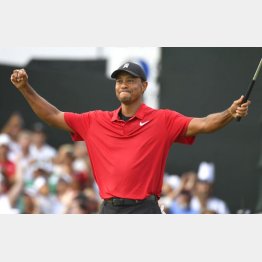 世界のゴルフ界に大きな影響を与えるウッズ８０勝（Ｃ）共同通信社