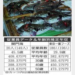 秋の味覚とらふぐ（Ｃ）日刊ゲンダイ