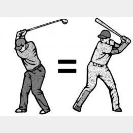 （イラスト・ドラゴン２）