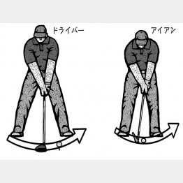 （イラスト・ドラゴン２）