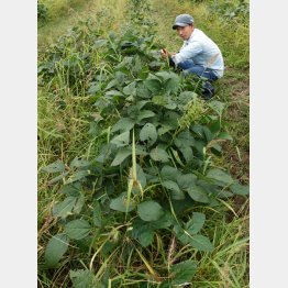 「軌道に乗るまで8年かかった」と長内さん（Ｃ）日刊ゲンダイ