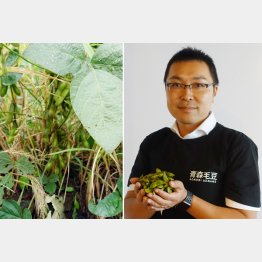 大浦雅勝さん（Ｃ）日刊ゲンダイ