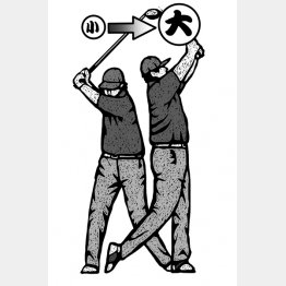 イラスト・ドラゴン２