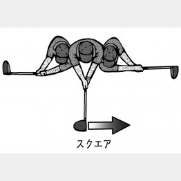 （イラスト・ドラゴン２）