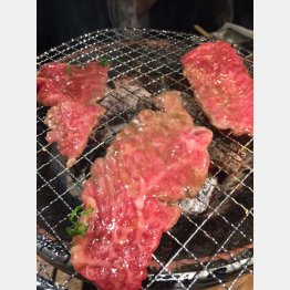 脂肪の付き具合がよい（Ｃ）日刊ゲンダイ