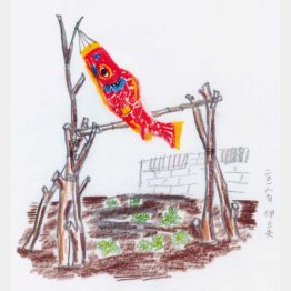 画・牧野伊三夫