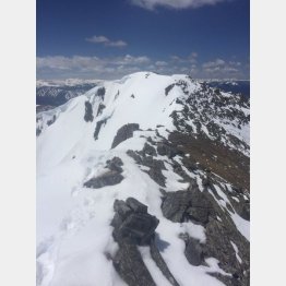 （ゴードン・オズ・オシンスキーさんのツイッターから）