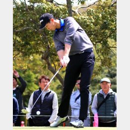 星野陸也（Ｃ）日刊ゲンダイ