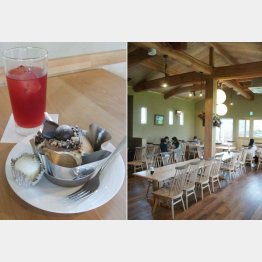 軽い甘さがクセになる「紅茶チョコ」（左）と木にこだわった店内（Ｃ）日刊ゲンダイ