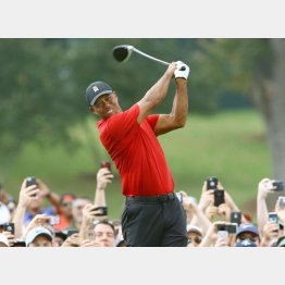 タイガー・ウッズ（Ｃ）共同通信社