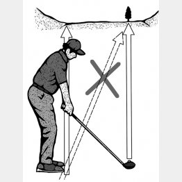 （イラスト・ドラゴン２）