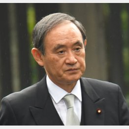 菅官房長官（Ｃ）日刊ゲンダイ