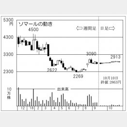 ソマール（Ｃ）日刊ゲンダイ