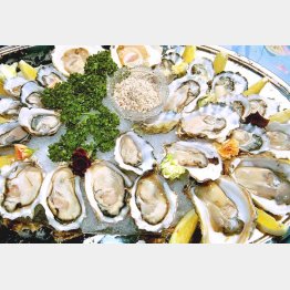 牡蠣はこれからが旬（Ｃ）日刊ゲンダイ