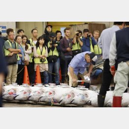 築地は外国人観光客が多かった（代表撮影）