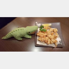 MIKAKU（提供写真）