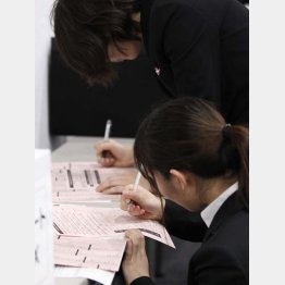 大学生は３年生になった途端に就活…（Ｃ）日刊ゲンダイ