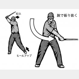 （イラスト・ドラゴン２）