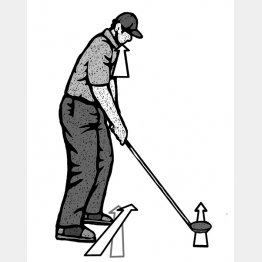 （イラスト・ドラゴン２）