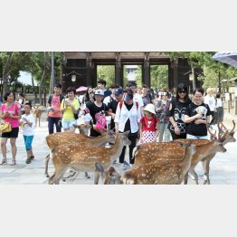 中国人にソッポ向かれたらオシマイ（Ｃ）日刊ゲンダイ