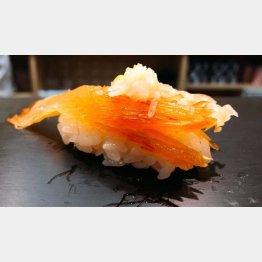 フカヒレ（Ｃ）日刊ゲンダイ