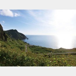 「桃台猫台」展望台から（提供写真）