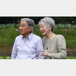軽井沢で野菜畑を散策される天皇、皇后両陛下（代表撮影）