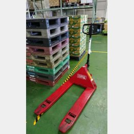 （Ｃ）日刊ゲンダイ