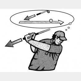 イラスト・ドラゴン２