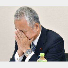 お友達の安倍首相が復権させる（甘利自民党選対委員長）／（Ｃ）日刊ゲンダイ