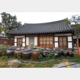 歴史ドラマの世界観（同楽園）（Ｃ）日刊ゲンダイ