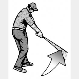 イラスト・ドラゴン２