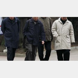 写真はイメージ（Ｃ）日刊ゲンダイ