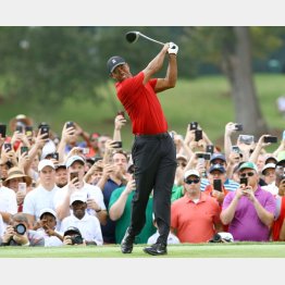 ギャラリーを魅了するウッズ（Ｃ）共同通信社