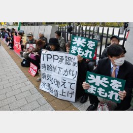 元凶はTPP（Ｃ）日刊ゲンダイ