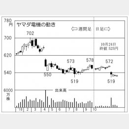ヤマダ電機（Ｃ）日刊ゲンダイ