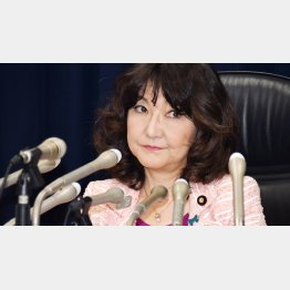 「決して高いものじゃないわよね」／（Ｃ）日刊ゲンダイ