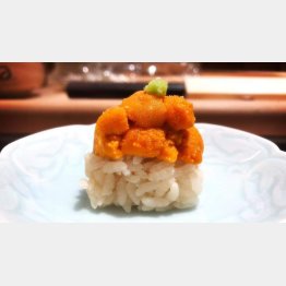 ウニの握り（Ｃ）日刊ゲンダイ