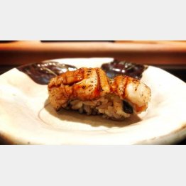 アナゴの握り（Ｃ）日刊ゲンダイ