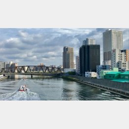 もともとは荒川？（Ｃ）日刊ゲンダイ