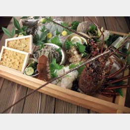 伊勢海老など、いろんな魚介類がのった舟盛り（特別料理）／（提供写真）