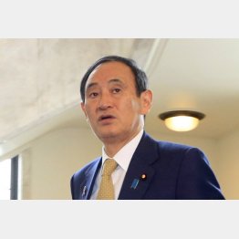 菅長官発言に海外の見方は…（Ｃ）日刊ゲンダイ