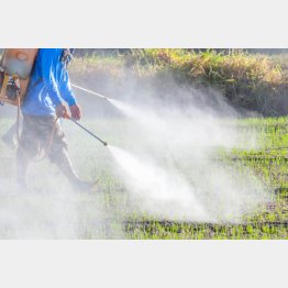 農薬の安全性に“絶対”はない（Ｃ）ＰＩＸＴＡ