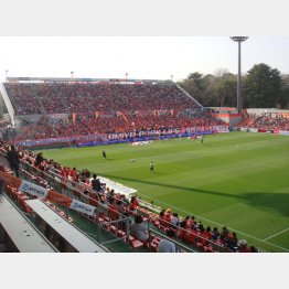 臨場感たっぷり（提供写真）