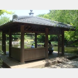 ピクニックにオススメ（写真は日本庭園）（提供写真）