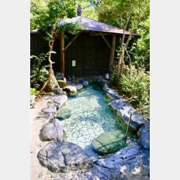 老神温泉「吟松亭あわしま」の露天風呂（Ｃ）日刊ゲンダイ
